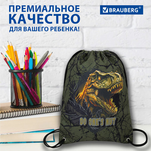Мешок для обуви BRAUBERG PREMIUM, карман, подкладка, светоотражайка, 43х33 см, Dino attack, 272424