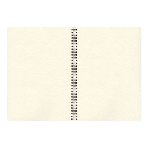 Скетчбук, слоновая кость 150 г/м2, 210х297 мм, 30 л., гребень, BRAUBERG ART CLASSIC, 128947