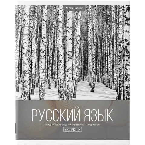 Тетради предметные, КОМПЛЕКТ 10 ПРЕДМЕТОВ, 48 л., обложка картон, BRAUBERG, "КЛАССИКА XXI", 404025