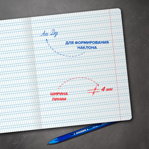 Тетрадь ПРОПИСЬ № 2 12 л. частая косая линия, со справочным материалом, ЮНЛАНДИЯ, 404852