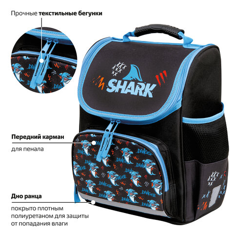 Ранец ПИФАГОР BASIC, 1 отделение, 3 кармана, эргономичная спинка, "Angry shark", 35х28х18 см, 272044