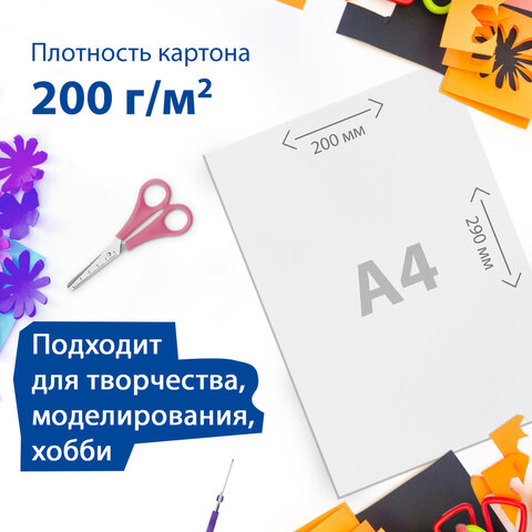 Картон белый А4 МЕЛОВАННЫЙ (белый оборот) 5 листов, BRAUBERG, 200х290 мм, 116626