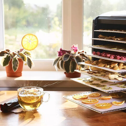 Сушилка для овощей KITFORT КТ-1908, 700 Вт, 18 поддонов, электронное управление, черная/серебристая