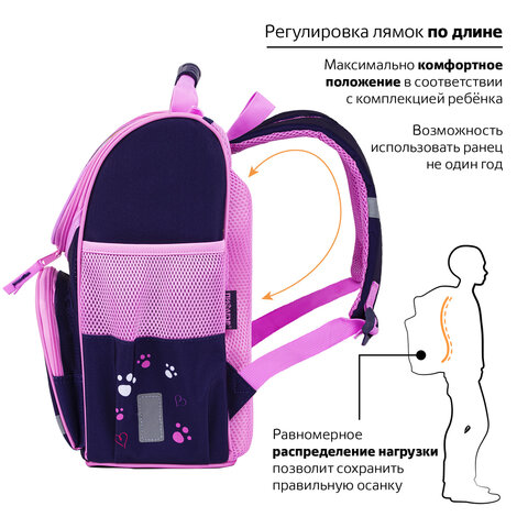 Ранец ПИФАГОР BASIC, 1 отделение, 3 кармана, эргономичная спинка, "Playing foxes", 35х28х18 см, 273136