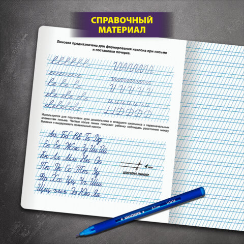 Тетрадь ПРОПИСЬ № 2 12 л. частая косая линия, со справочным материалом, ЮНЛАНДИЯ, 404852