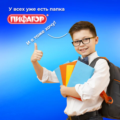 Папка для тетрадей ПИФАГОР А4, 1 отделение, картон/пластик, на молнии, "Sharp sword", 273342