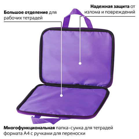 Папка на молнии с ручками BRAUBERG, А4, 1 отделение, с подкладкой, полиэстер, 20 мм, "Magenta", 227085