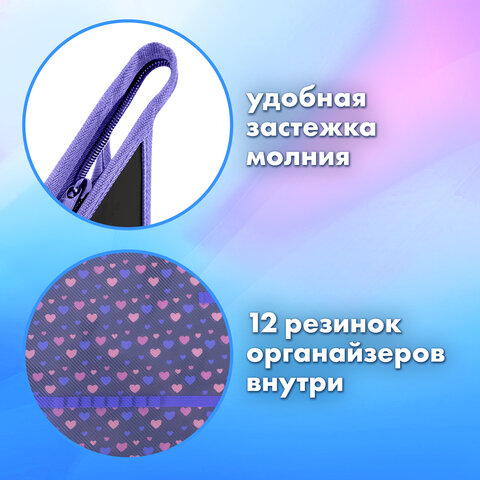 Папка для труда на молнии BRAUBERG А4, 2 отделения, органайзер, "Sleeping kitten", 273401