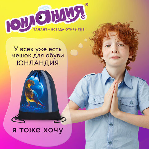 Мешок для обуви ЮНЛАНДИЯ, плотный, светоотражающая полоса, 46х36 см, "Берегись!", 272412