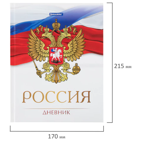 Дневник 5-11 класс 48 л., твердый, BRAUBERG, глянцевая ламинация, с подсказом, "Символика 2", 106067