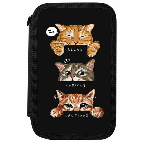 Пенал ПИФАГОР, 3 отделения, ламинированный картон, 19х11 см, "Cool trio", 273486