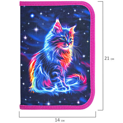 Пенал BRAUBERG, 1 отделение, полиэстер, 21х14 см, "Space cat", 273518