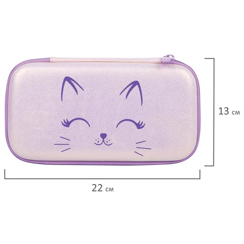 Пенал BRAUBERG SHINY, 1 отделение, 1 откидная планка, EVA, 22х13х4 см, "Cheerful", 271554