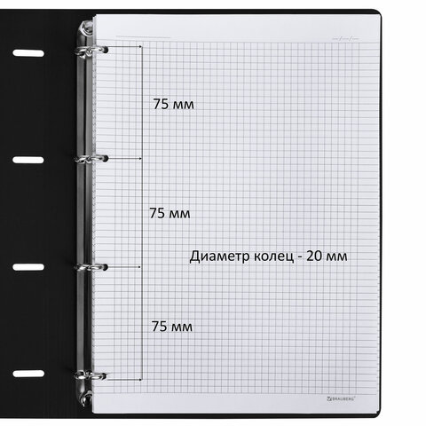 Тетрадь на кольцах БОЛЬШАЯ А4 (240х310 мм), 120 л., под кожу, BRAUBERG VISTA, Black, 404512