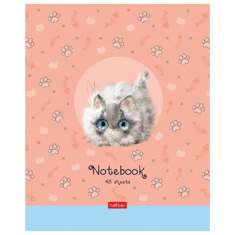 Тетрадь А5 48 л. HATBER скоба, клетка, обложка картон, "Кошарики" (микс в спайке), 075302, 48Т5В1