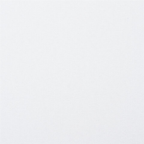 Картон белый А4 немелованный (матовый), 24 листа, ПИФАГОР, 200х290 мм, "Совушка", 113565