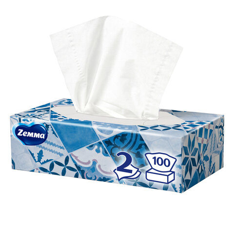 Салфетки косметические 100 штук в картонном боксе, 2-слойные, ZEMMA/ZEWA Everyday, 62861