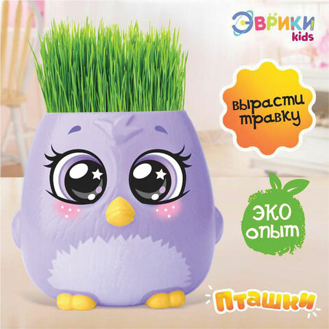 Набор для опытов "Пташки, выращиваем травку", фиолетовый горшочек, 5155390