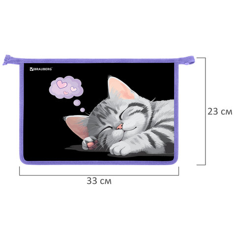 Папка для труда на молнии BRAUBERG А4, 2 отделения, органайзер, "Sleeping kitten", 273401