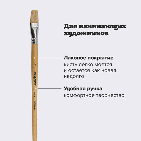 Кисть ПИФАГОР, ЩЕТИНА, плоская, № 14, деревянная лакированная ручка, пакет с подвесом, 200876