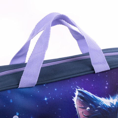 Папка на молнии с ручками BRAUBERG А4, 1 отделение, полиэстер, 80 мм, "Anime cat", 272174