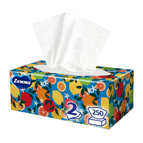 Салфетки косметические 2-слойные в картонном коробе, 250 штук, ZEMMA/ZEWA Everyday, 86791