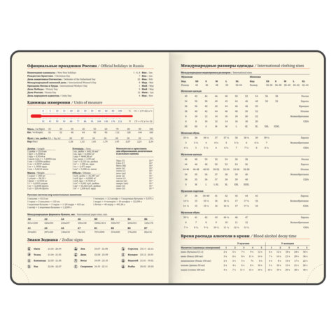 Ежедневник датированный 2027, А5, 138х213 мм, BRAUBERG "ArtGallery", под кожу, нашивка, черный, 118011