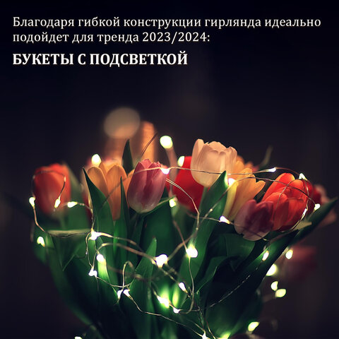 Электрогирлянда-нить комнатная "Роса" 2 м, 20 LED, теплый белый свет, на батарейках, ЗОЛОТАЯ СКАЗКА, 591931