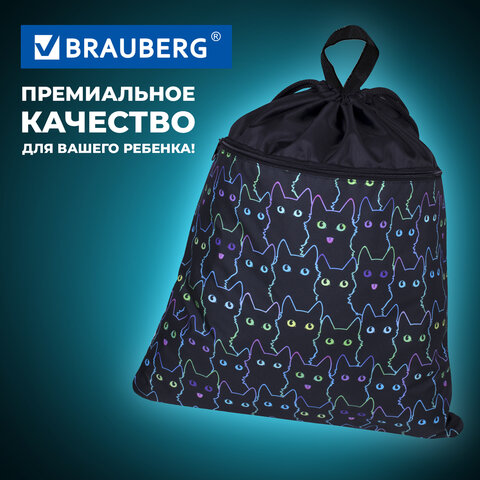 Мешок для обуви BRAUBERG БОЛЬШОЙ, с ручкой, карман на молнии, сетка, 49х41 см, "Cats", 271059