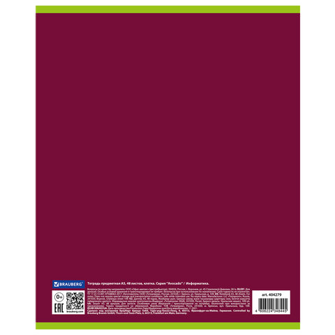 Тетрадь предметная "AVOCADO" 48 л., глянцевый лак, ИНФОРМАТИКА, клетка, BRAUBERG, 404279