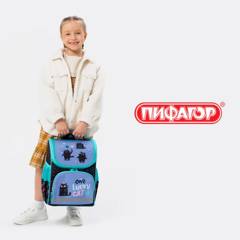 Ранец ПИФАГОР BASIC, 1 отделение, 3 кармана, эргономичная спинка, "Funny cats", 35х28х18 см, 273135