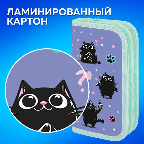 Пенал ПИФАГОР, 2 отделения, ламинированный картон, 19х11 см, "Funny cats", 273481