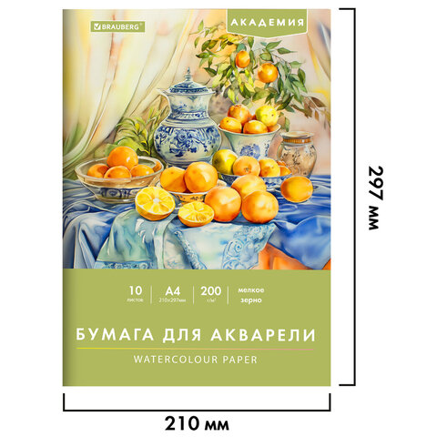 Папка для акварели А4, 210х297 мм, 10 листов, 200 г/м2, BRAUBERG АКАДЕМИЯ (ДЭК), "Апельсины", 117743