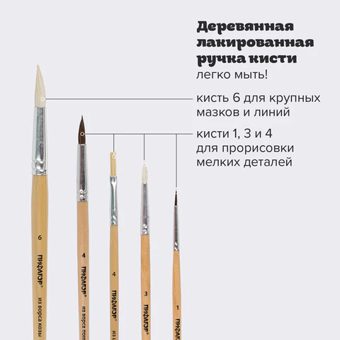 Кисти ПИФАГОР, набор 5 шт. (ПОНИ: круглые № 1, 4; КОЗА: круглые № 3, 6; ЩЕТИНА: плоская № 4), пакет с европодвесом, 200892