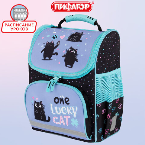 Ранец ПИФАГОР BASIC, 1 отделение, 3 кармана, эргономичная спинка, "Funny cats", 35х28х18 см, 273135