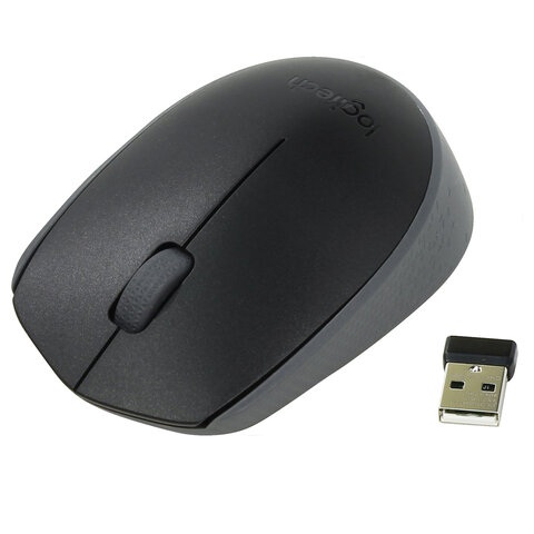 Мышь беспроводная LOGITECH M171, 2 кнопки + 1 колесо-кнопка, оптическая, черная