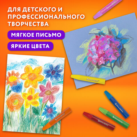 Пастель масляная восковые мелки утолщенные 25 цветов с точилкой и держателем, BRAUBERG PREMIUM, 272712