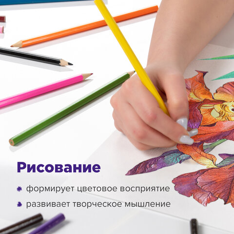 Карандаши цветные акварельные BRAUBERG "АКАДЕМИЯ", 24 цвета, шестигранные, грифель 3 мм, натуральное дерево, 181400