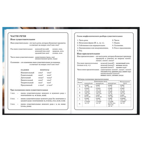 Дневник 1-4 класс 48 л., твердый, BRAUBERG, глянцевая ламинация, с подсказом, "Котик", 107156