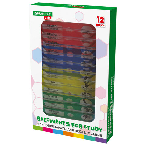 Микроскоп с подсветкой в кейсе, 74 предмета, в т.ч. набор из 16 микропрепаратов в подарок, увеличение 300х,600х,1200х, BRAUBERG KIDS, 391399