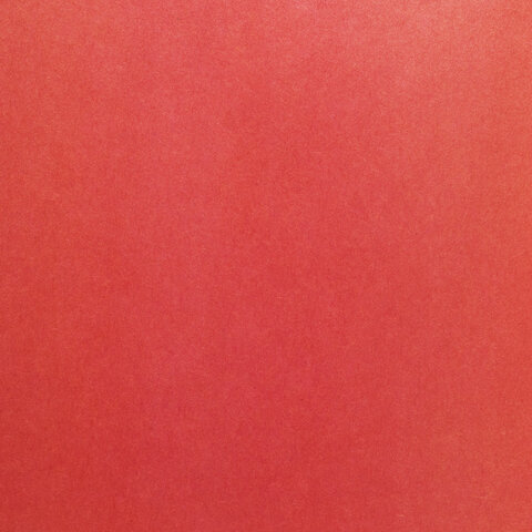 Цветная бумага А4 газетная, 32 листа, 8 цветов, на скобе, ПИФАГОР, 200х280 мм, "Белочки", 115485