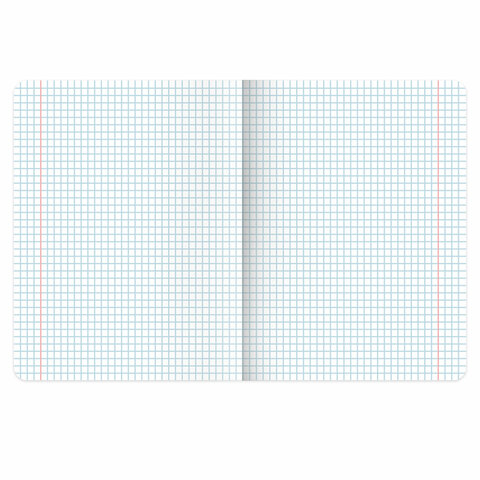 Тетради предметные, КОМПЛЕКТ 12 ПРЕДМЕТОВ, 48 л., TWIN лак, BRAUBERG "МЕМЫ", 405172