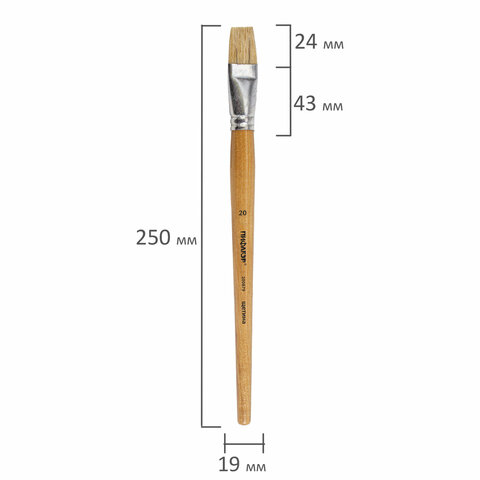 Кисть ПИФАГОР, ЩЕТИНА, плоская, № 20, деревянная лакированная ручка, пакет с подвесом, 200879