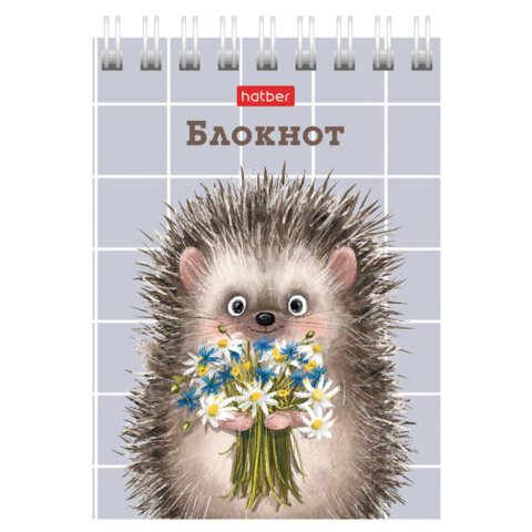 Блокнот МАЛЫЙ ФОРМАТ А7, 40 л., гребень, картон, клетка, HATBER, "Хорошо быть ёжиком", 081183, 40Б7В1гр