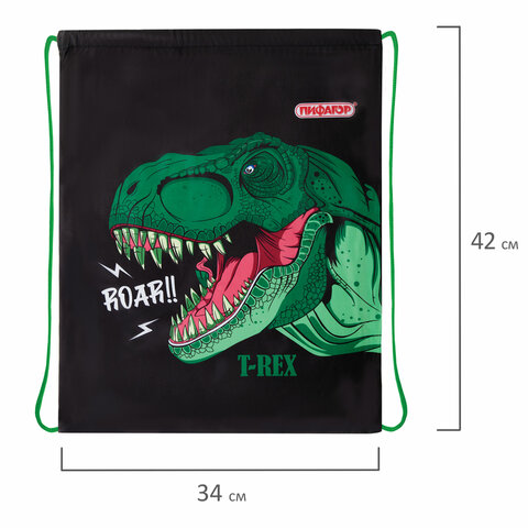 Мешок для обуви ПИФАГОР, 1 отделение, 42х34 см, "Dino roar", 272387