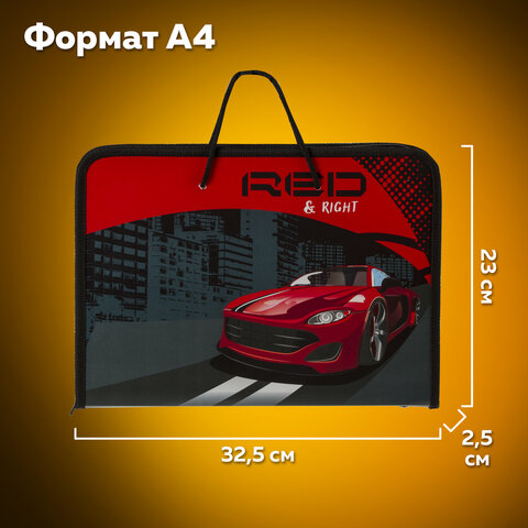 Папка для труда на молнии с ручками ПИФАГОР А4, 1 отделение, пластик, органайзер, "Speed", 270158