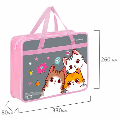 Папка на молнии с ручками BRAUBERG А4, 1 отделение, пластик, 80 мм, "Hi there", 273370