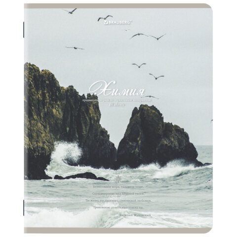 Тетради предметные, КОМПЛЕКТ 12 ПРЕДМЕТОВ, 48 л., SoftTouch, BRAUBERG, "ESTHETICS", 404833