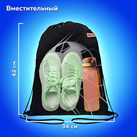 Мешок для обуви ПИФАГОР, 1 отделение, 42х34 см, "Ball kick", 272386