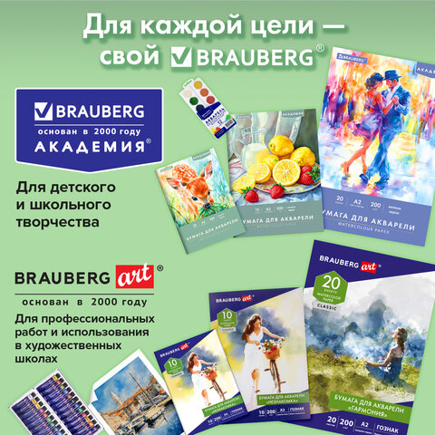 Папка для акварели БОЛЬШАЯ А3, 297х420 мм, 10 листов, 200 г/м, BRAUBERG АКАДЕМИЯ (ДЭК) "Натюрморт", 117741